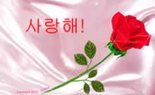 jtm korea